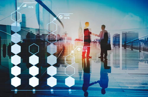炎頌科技 企業(yè)信息化的內(nèi)涵與外延與信息技術(shù)咨詢(xún)服務(wù)