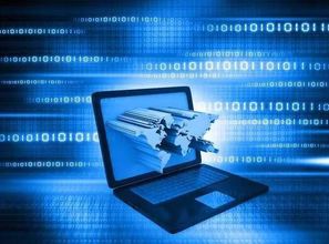 窺國內(nèi)IT生態(tài)體系 一花一世界，互聯(lián)網(wǎng)信息服務(wù)的無限可能