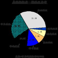 中國互聯網絡信息資源調查報告 互聯網信息服務篇